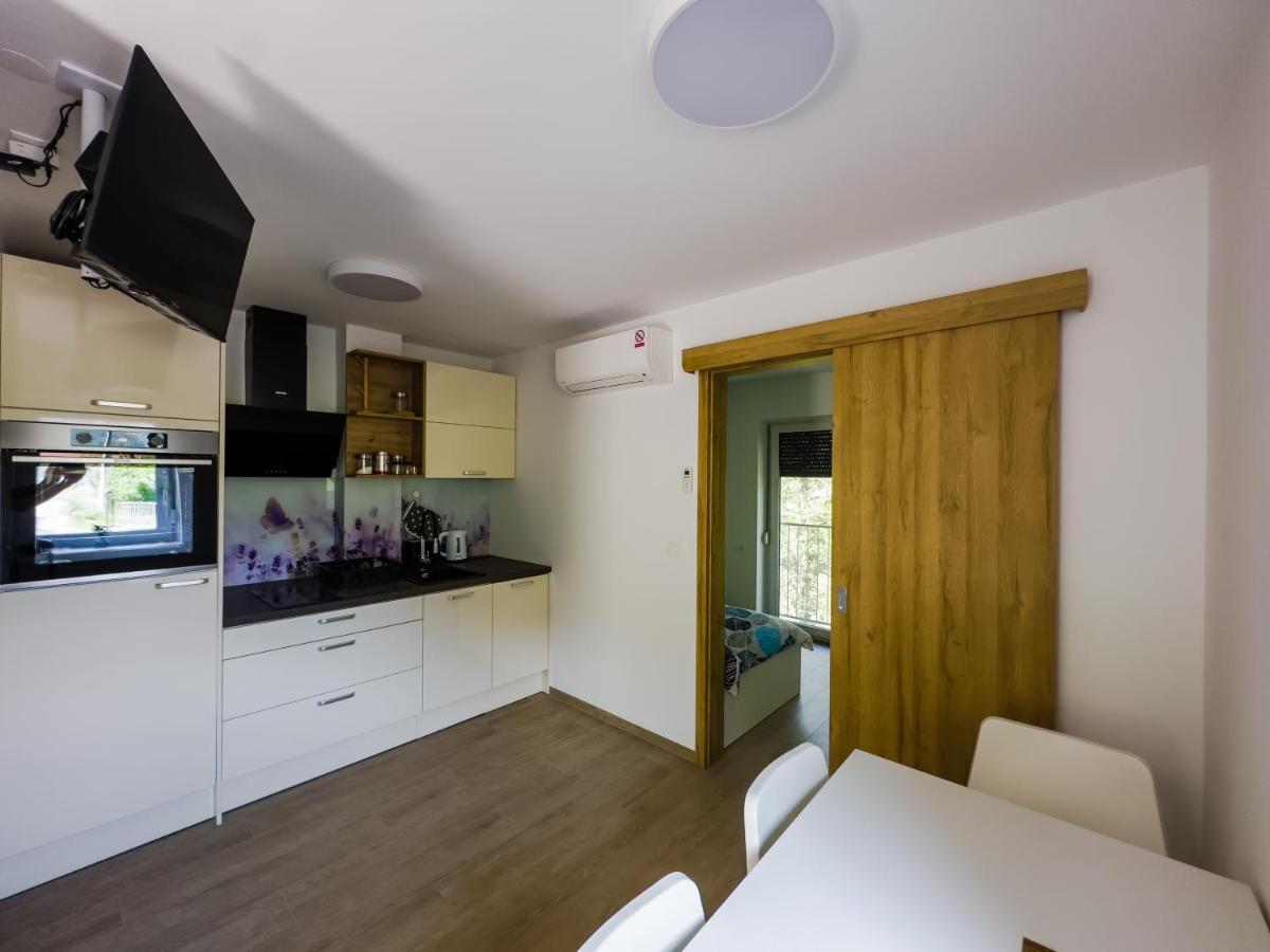 Apartmaji Silva Slap ob Idrijci Extérieur photo